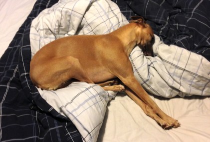 Tired after making F1 related tweets all day. Or not.