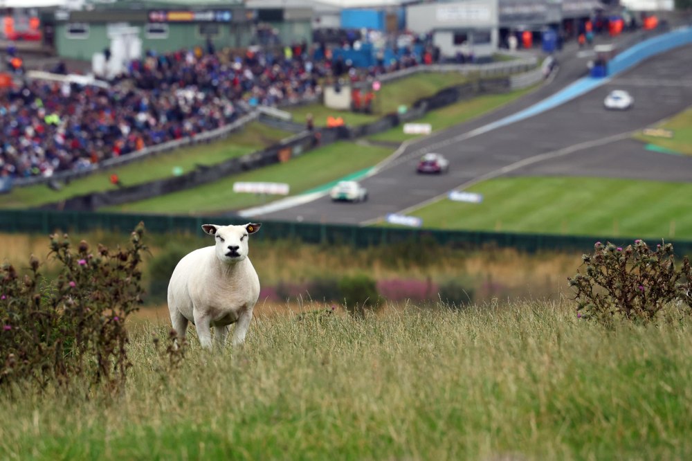 BTCC 2026 Knockhill Highlights Recap